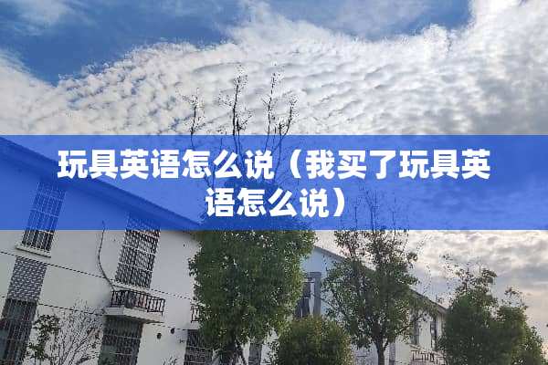 玩具英语怎么说（我买了玩具英语怎么说）
