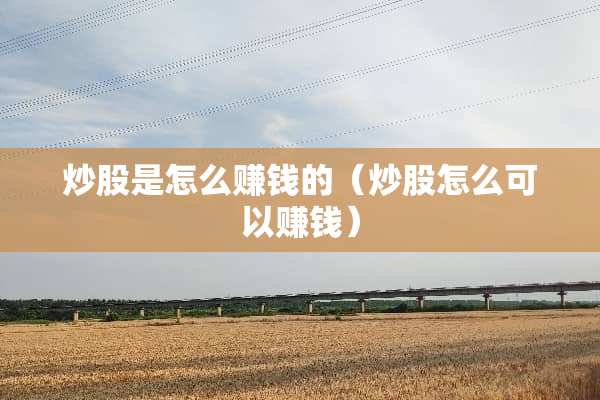 炒股是怎么赚钱的（炒股怎么可以赚钱）