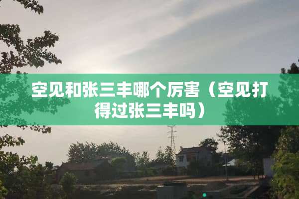 空见和张三丰哪个厉害（空见打得过张三丰吗）