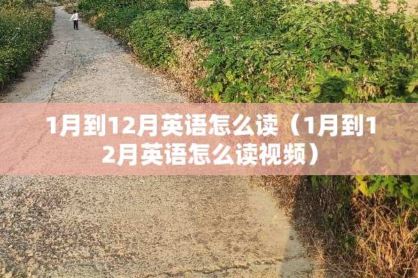 1月到12月英语怎么读（1月到12月英语怎么读视频）