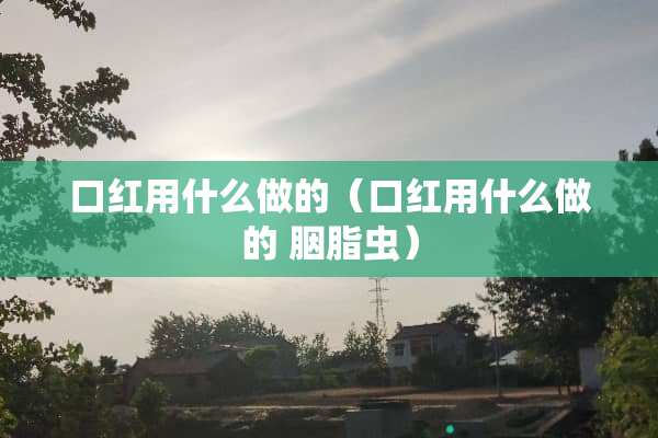口红用什么做的（口红用什么做的 胭脂虫）