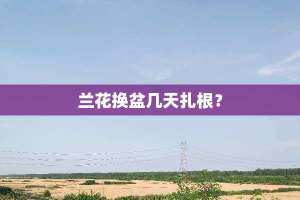 兰花换盆几天扎根？