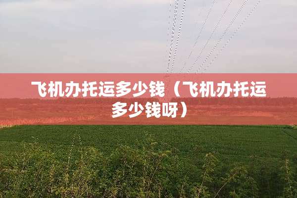 飞机办托运多少钱（飞机办托运多少钱呀）
