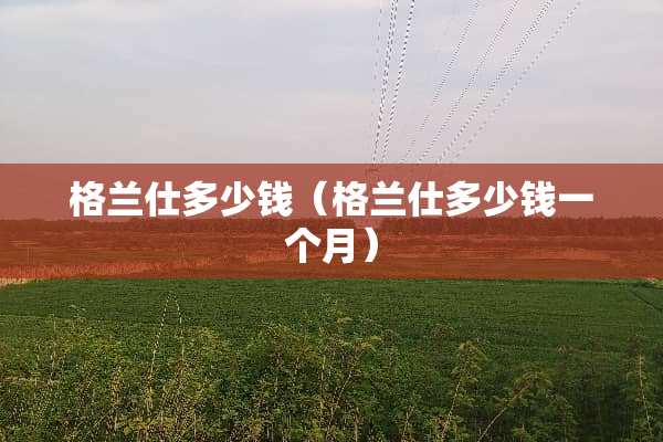 格兰仕多少钱（格兰仕多少钱一个月）