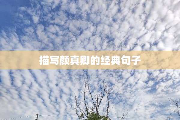 描写颜真卿的经典句子