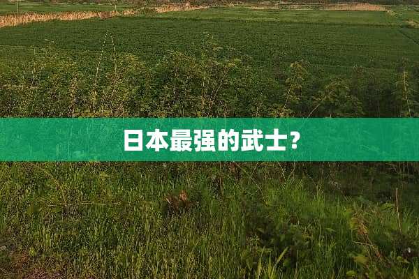日本最强的武士？