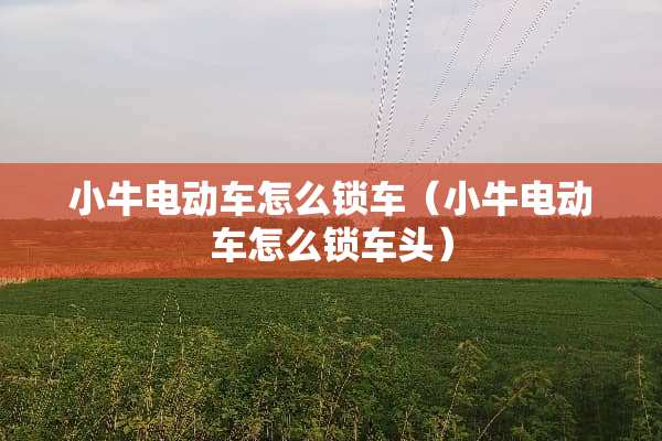 小牛电动车怎么锁车（小牛电动车怎么锁车头）