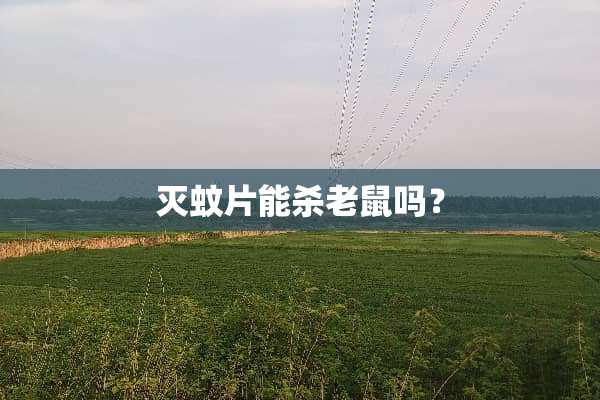 灭蚊片能杀老鼠吗？