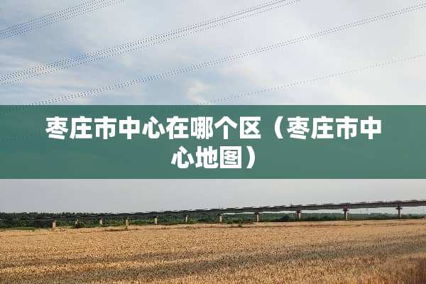 枣庄市中心在哪个区（枣庄市中心地图）