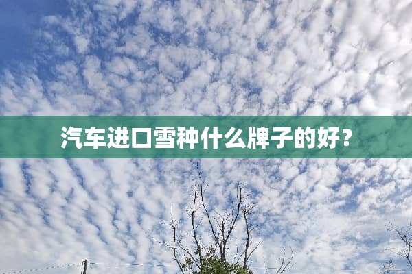 汽车进口雪种什么牌子的好？