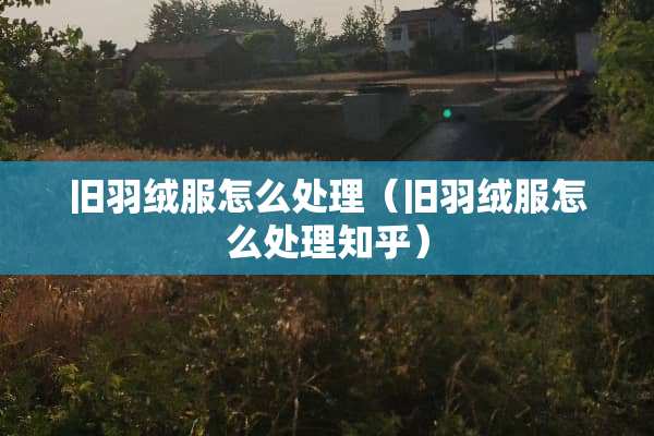 旧羽绒服怎么处理（旧羽绒服怎么处理知乎）