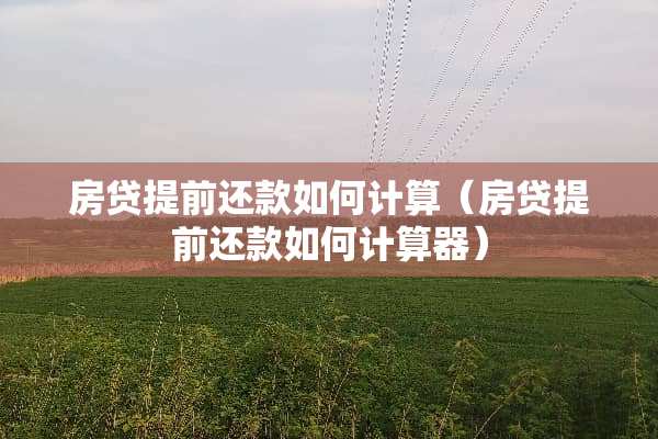 房贷提前还款如何计算（房贷提前还款如何计算器）