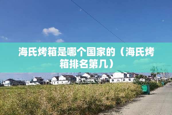 海氏烤箱是哪个国家的（海氏烤箱排名第几）
