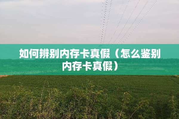 如何辨别内存卡真假（怎么鉴别内存卡真假）