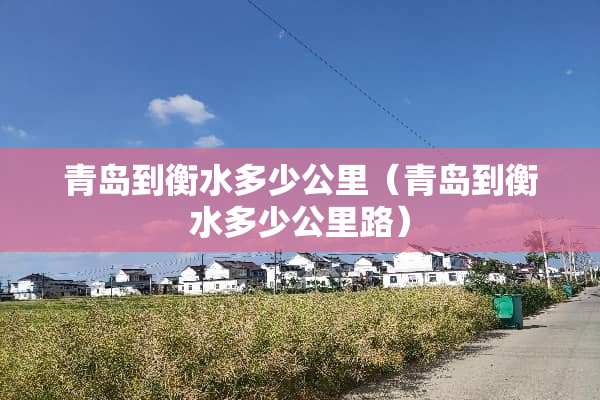 青岛到衡水多少公里（青岛到衡水多少公里路）
