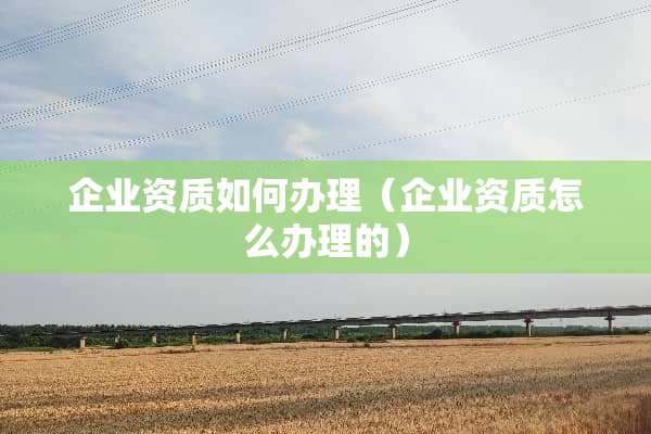 企业资质如何办理（企业资质怎么办理的）