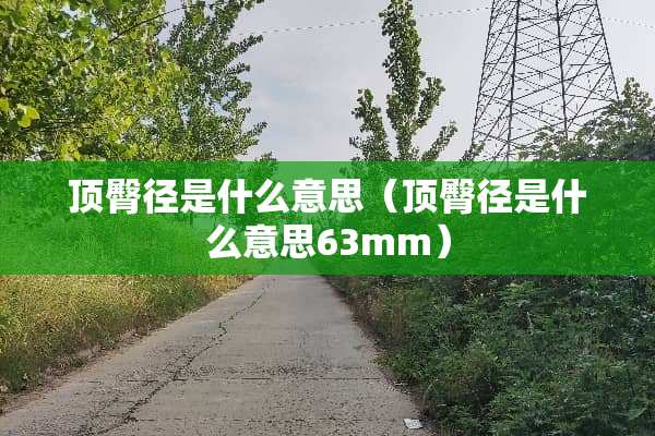顶臀径是什么意思（顶臀径是什么意思63mm）