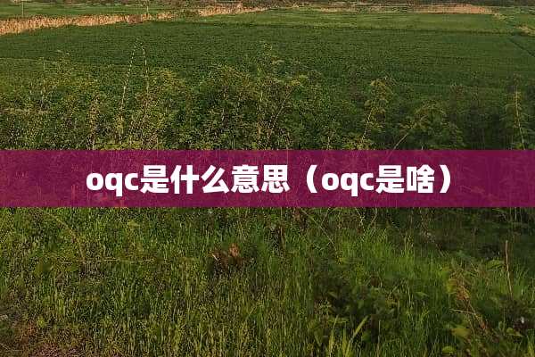 oqc是什么意思（oqc是啥）