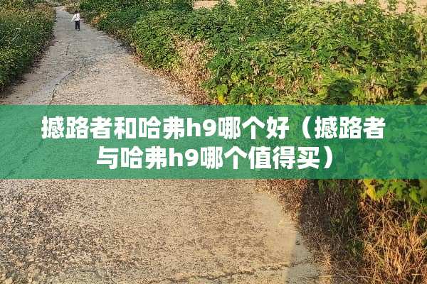 撼路者和哈弗h9哪个好（撼路者与哈弗h9哪个值得买）