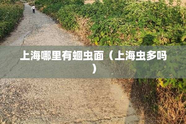 上海哪里有蛔虫面（上海虫多吗）