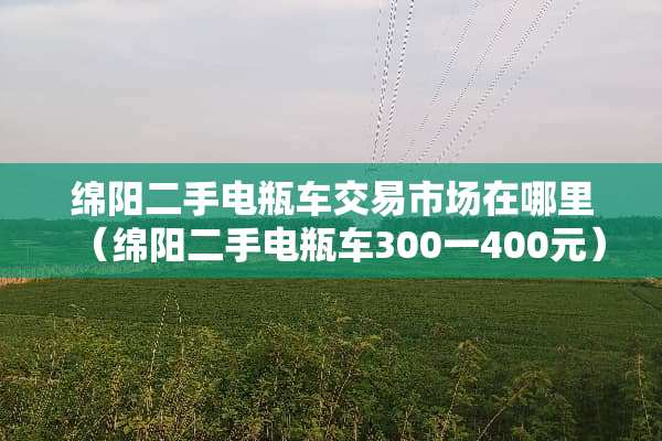 绵阳二手电瓶车交易市场在哪里（绵阳二手电瓶车300一400元）