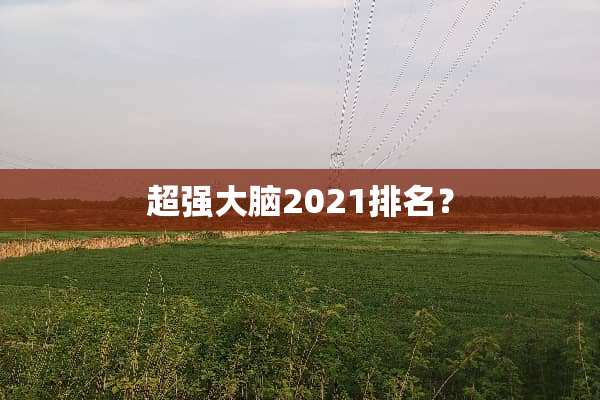 超强大脑2021排名？