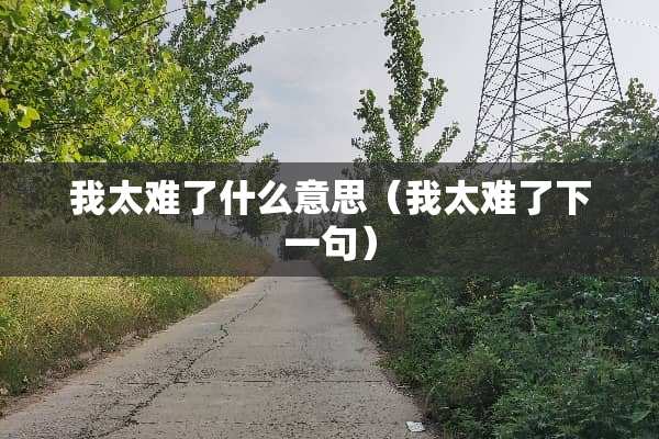 我太难了什么意思（我太难了下一句）