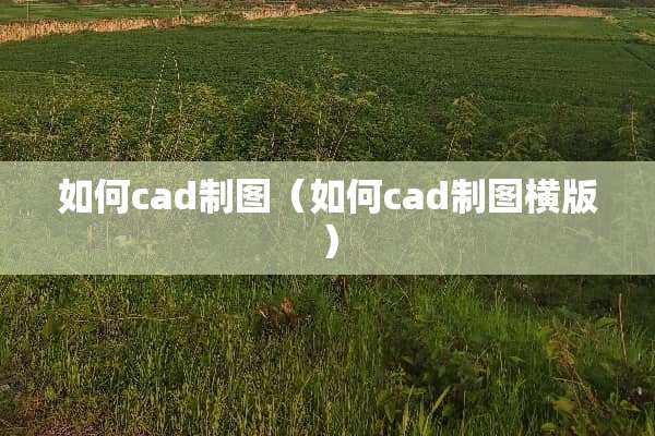 如何cad制图（如何cad制图横版）