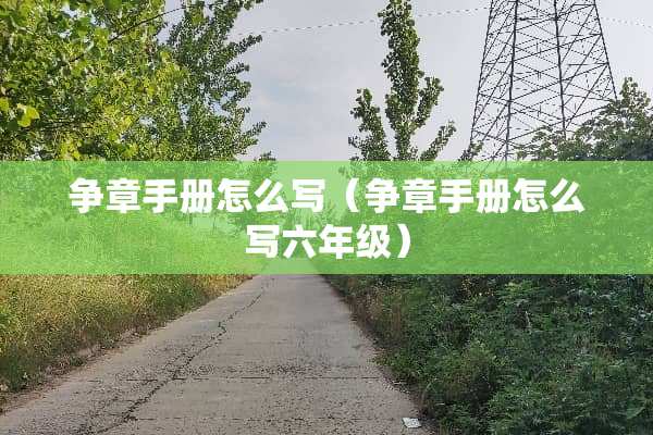 争章手册怎么写（争章手册怎么写六年级）