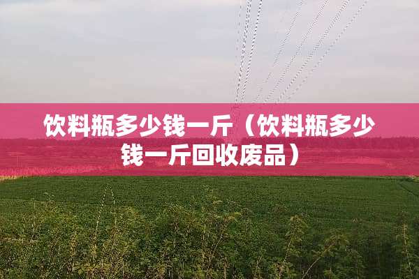 饮料瓶多少钱一斤（饮料瓶多少钱一斤回收废品）