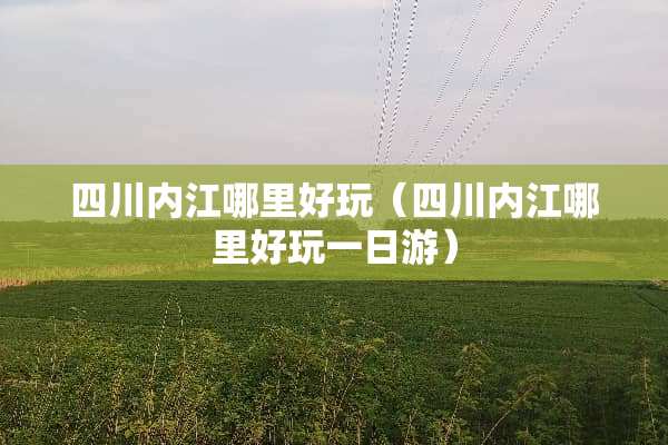 四川内江哪里好玩（四川内江哪里好玩一日游）