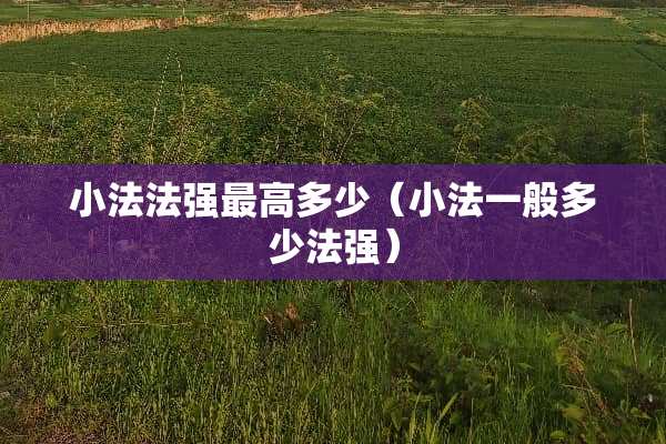小法法强最高多少（小法一般多少法强）