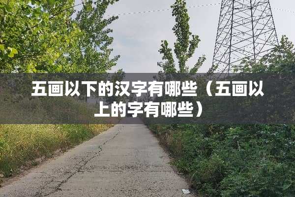 五画以下的汉字有哪些（五画以上的字有哪些）