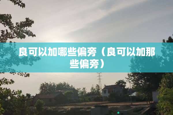 良可以加哪些偏旁（良可以加那些偏旁）