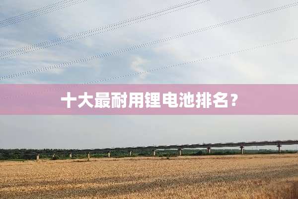 十大最耐用锂电池排名？
