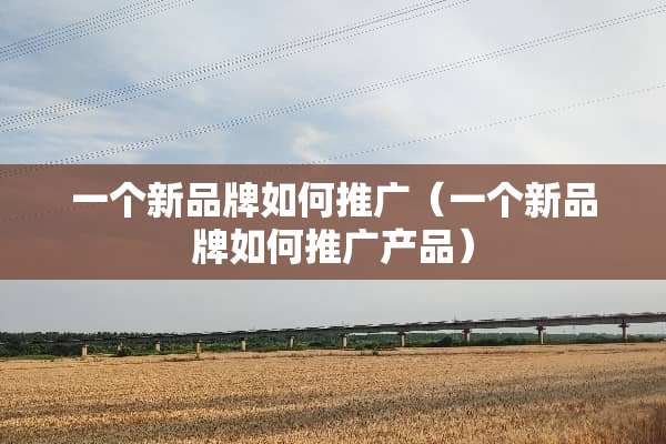 一个新品牌如何推广（一个新品牌如何推广产品）