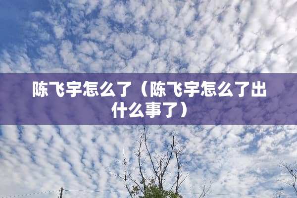 陈飞宇怎么了（陈飞宇怎么了出什么事了）