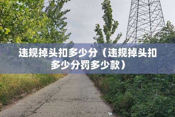 违规掉头扣多少分（违规掉头扣多少分罚多少款）