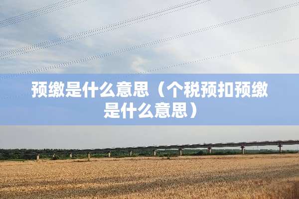 预缴是什么意思（个税预扣预缴是什么意思）