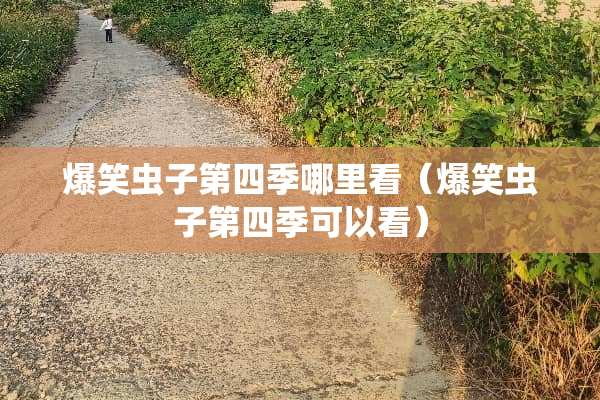 爆笑虫子第四季哪里看（爆笑虫子第四季可以看）