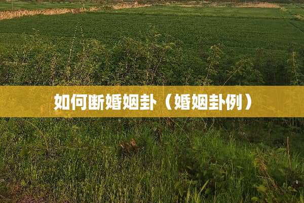 如何断婚姻卦（婚姻卦例）