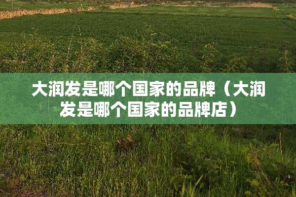大润发是哪个国家的品牌（大润发是哪个国家的品牌店）
