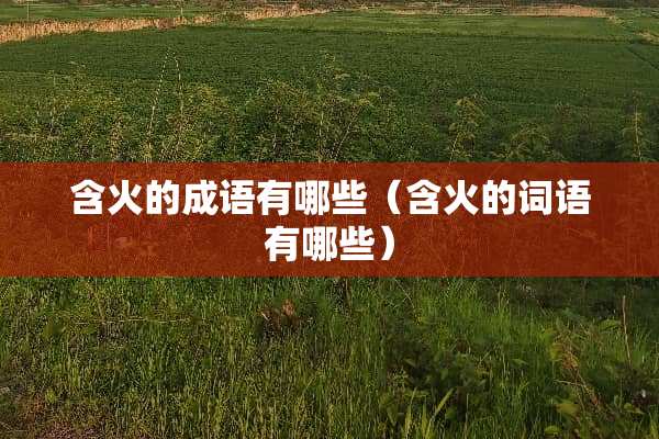 含火的成语有哪些（含火的词语有哪些）