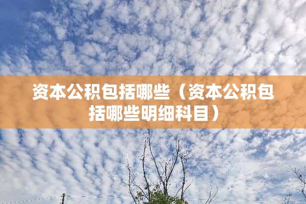 资本公积包括哪些（资本公积包括哪些明细科目）