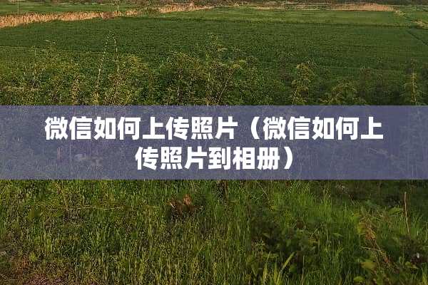 微信如何上传照片（微信如何上传照片到相册）