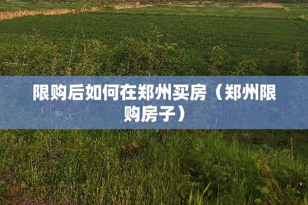 限购后如何在郑州买房（郑州限购房子）