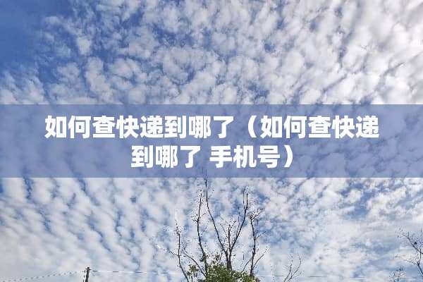 如何查快递到哪了（如何查快递到哪了 手机号）