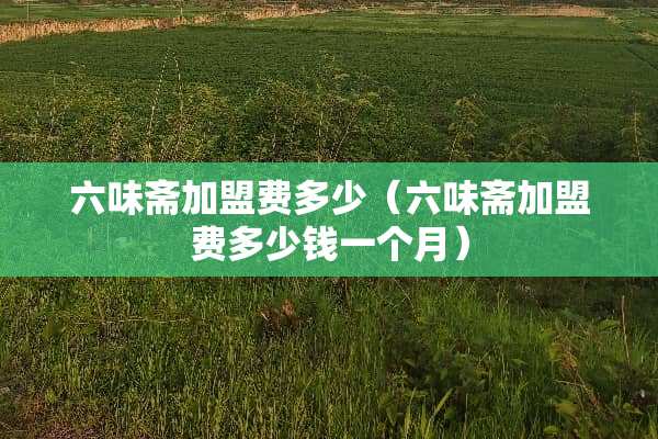 六味斋加盟费多少（六味斋加盟费多少钱一个月）
