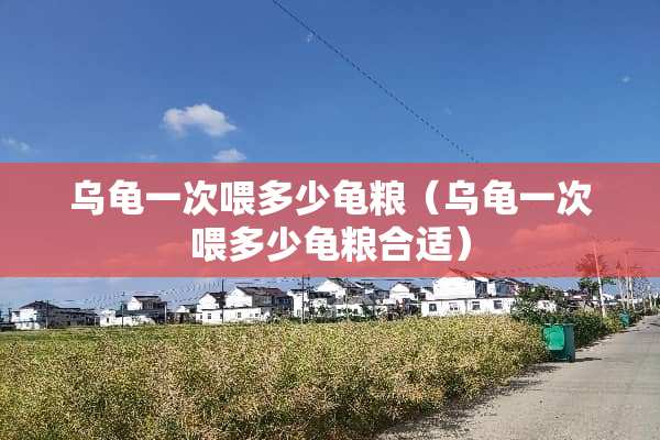 乌龟一次喂多少龟粮（乌龟一次喂多少龟粮合适）