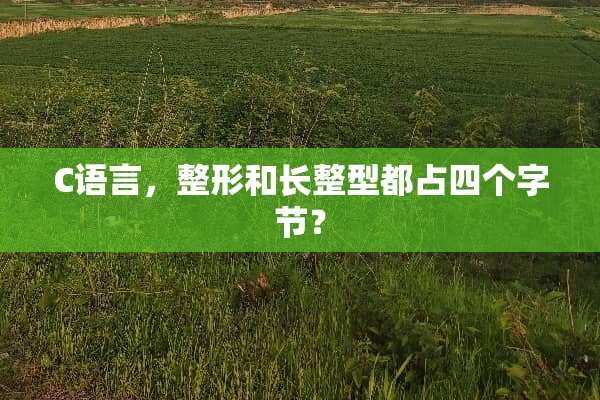 C语言，整形和长整型都占四个字节？